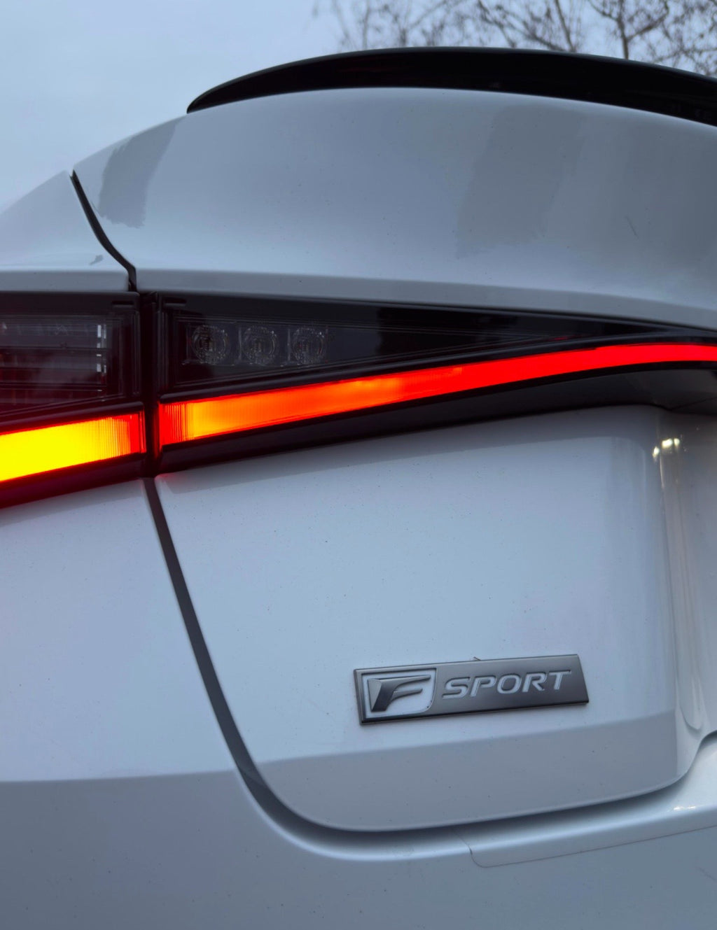 2021 Lexus IS 350 F Sport