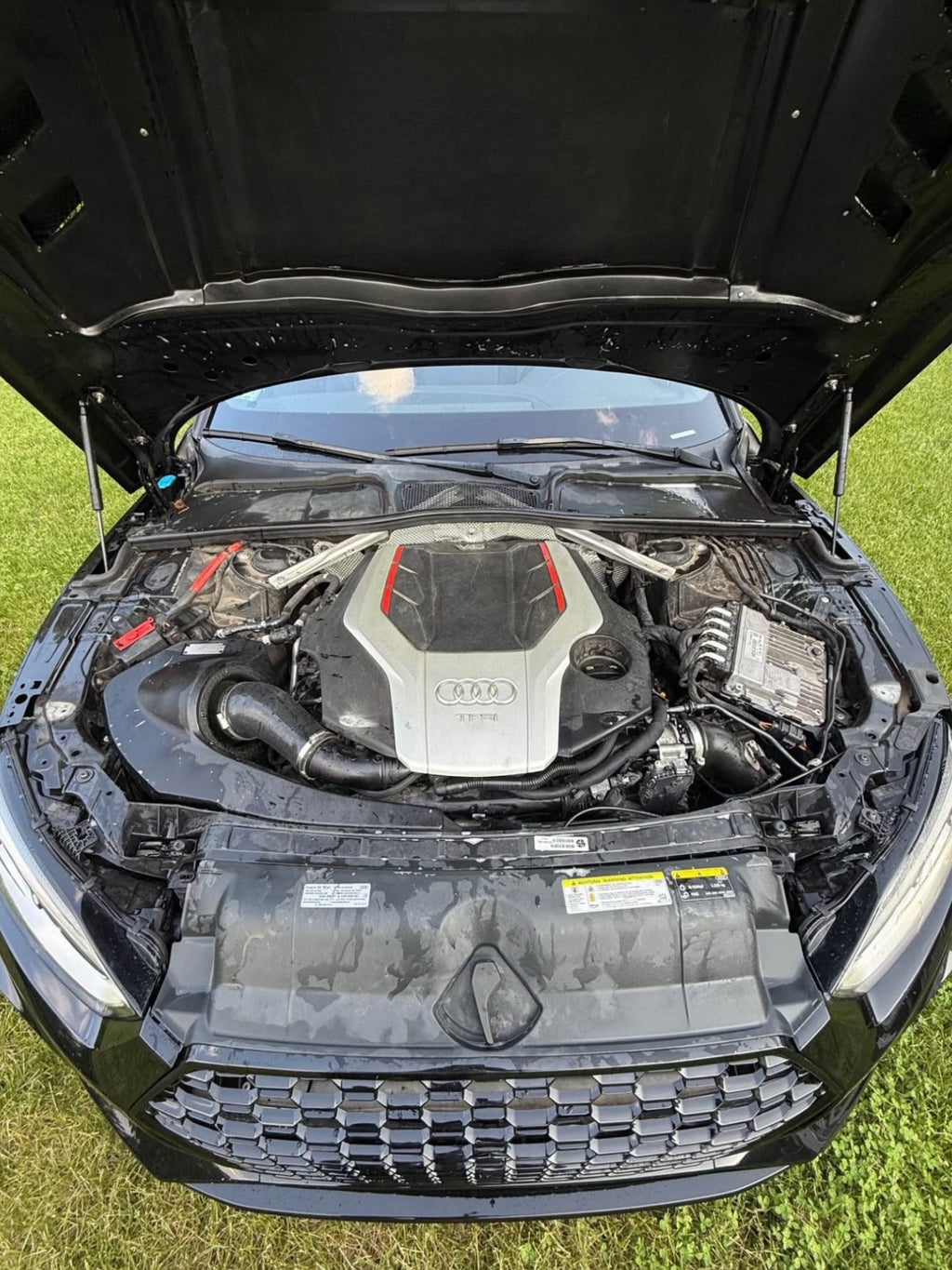 2019 Audi S5 Premium Plus