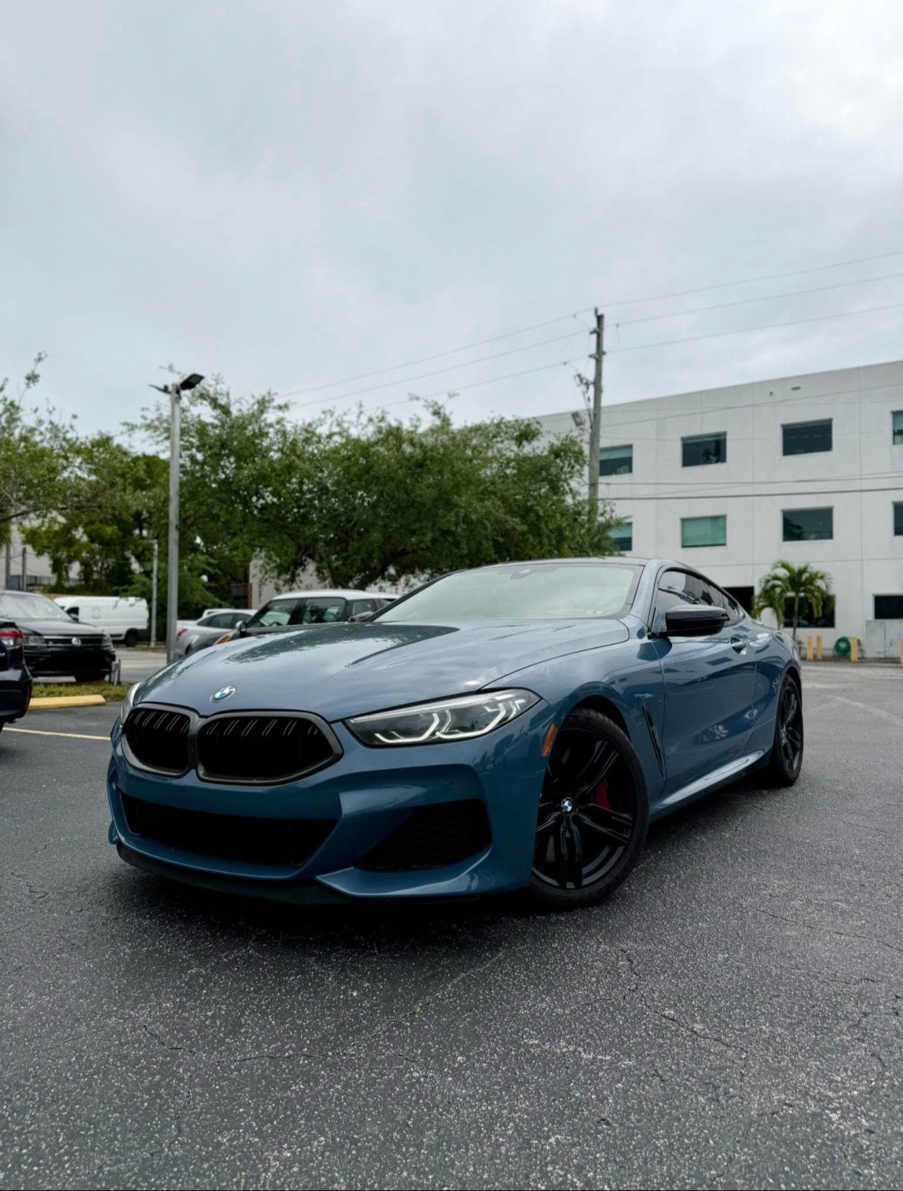 2022 BMW 8 Series M850i xDrive