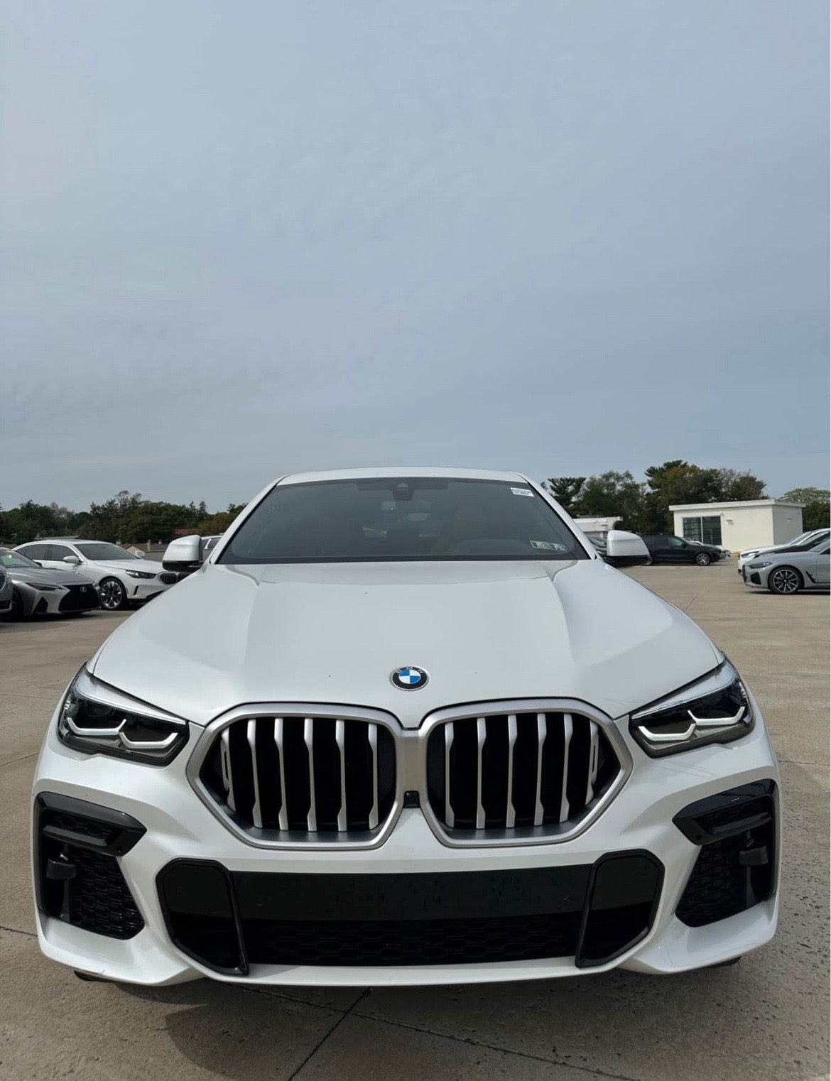 2023 BMW X6 xDrive40i