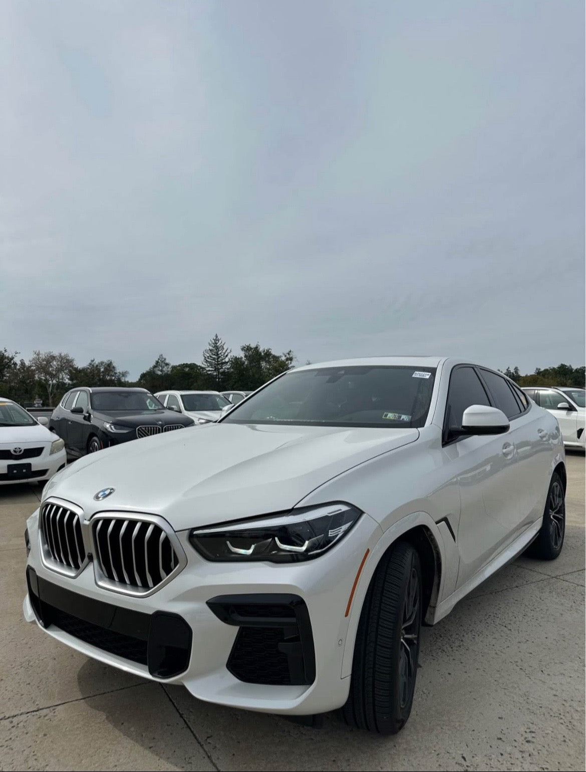 2023 BMW X6 xDrive40i